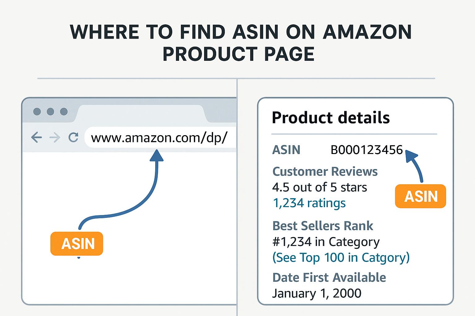 Diagram showing where to find the ASIN on an Amazon product page, both in the URL and the product details section.