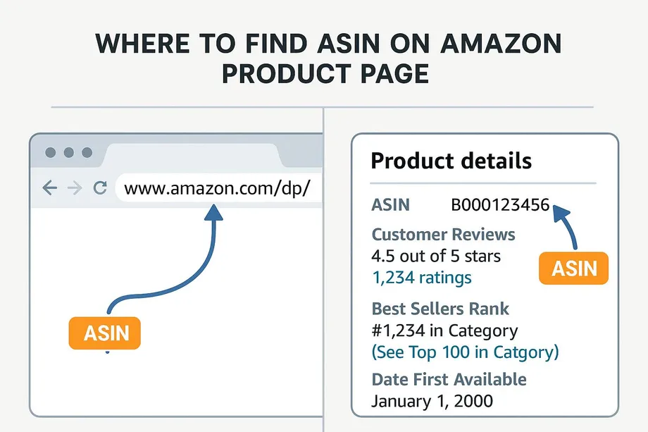 Diagram showing two locations where Amazon ASIN can be found: in the product page URL (amazon.com/dp/) and in the Product Details section listing ASIN B000123456, customer reviews, Best Sellers Rank, and availability date.